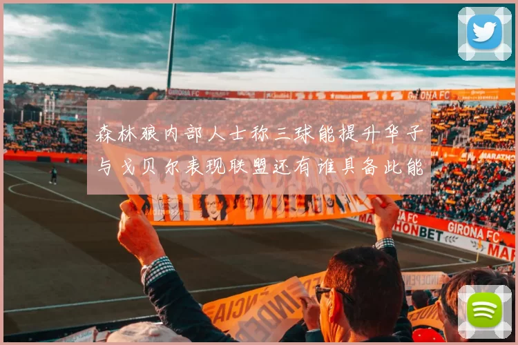 森林狼内部人士称三球能提升华子与戈贝尔表现联盟还有谁具备此能力