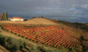 Barbaresco Hike